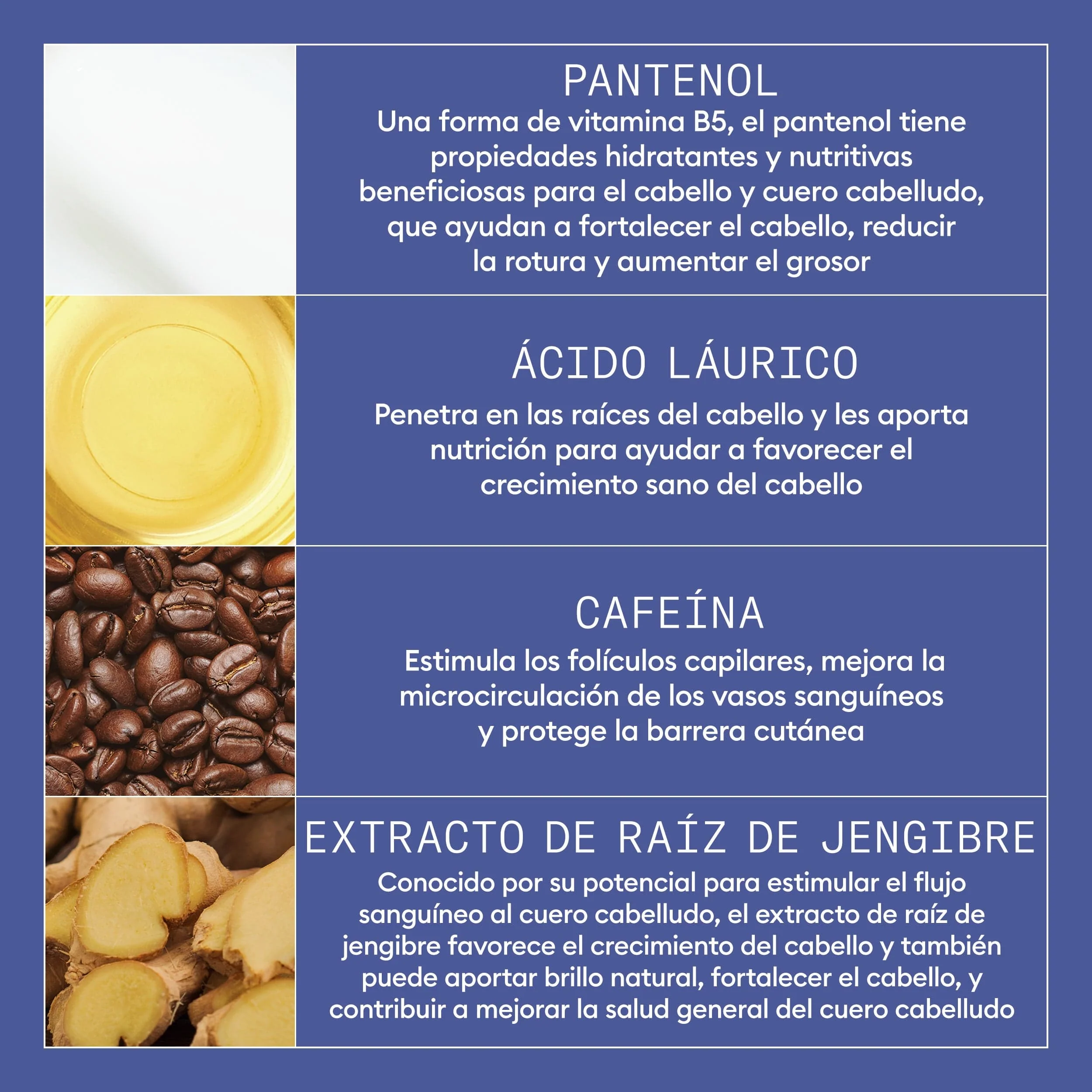 Miniatura 10