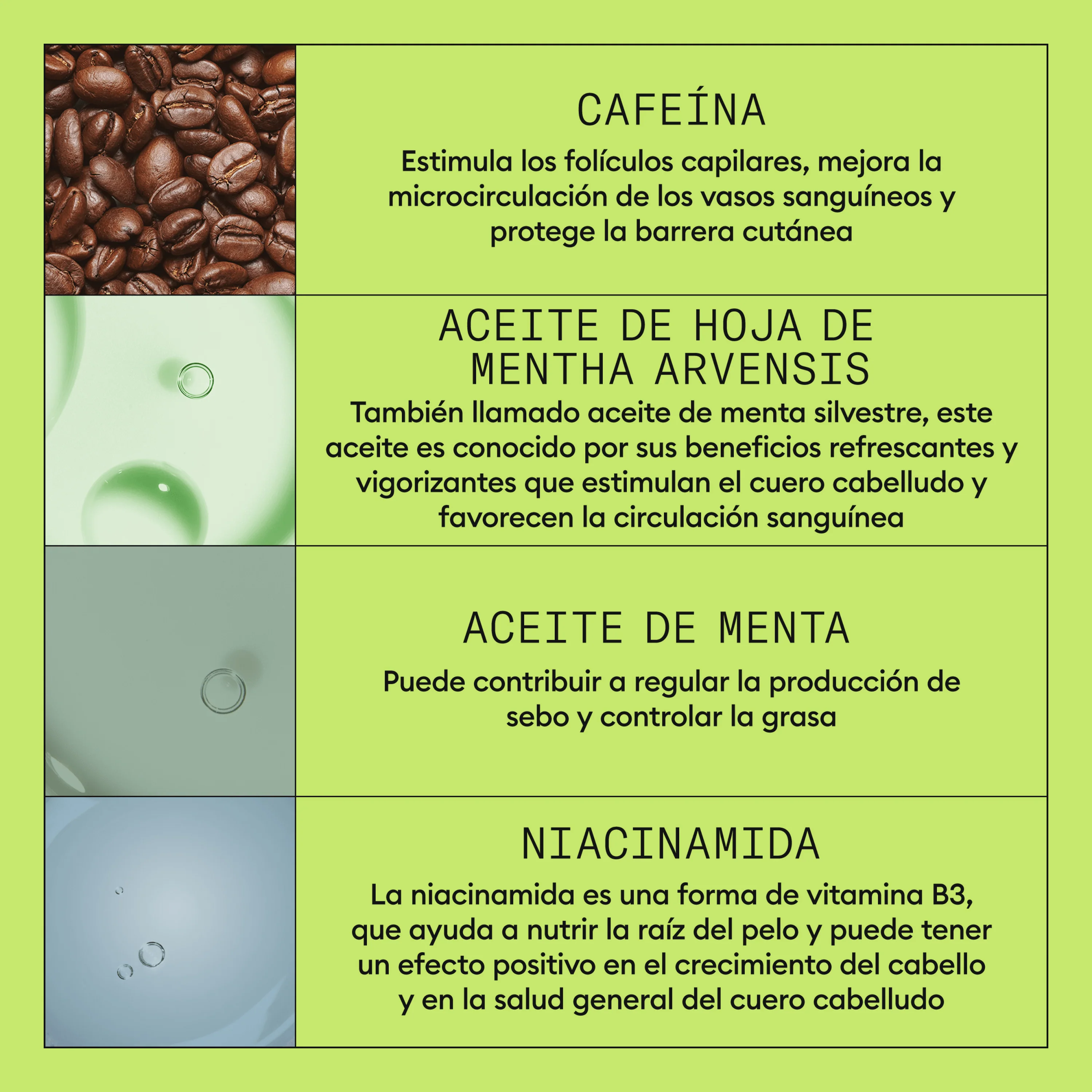 Miniatura 10